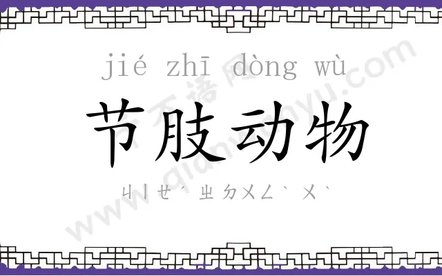 节肢动物