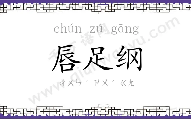 唇足纲
