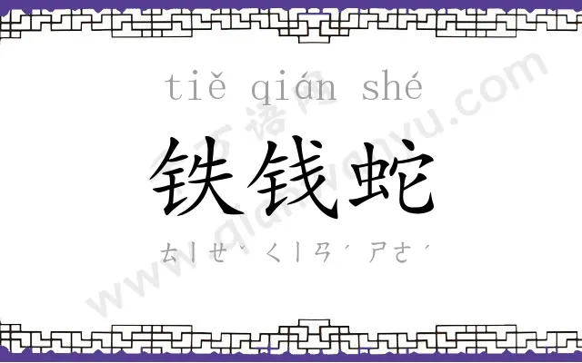 铁钱蛇