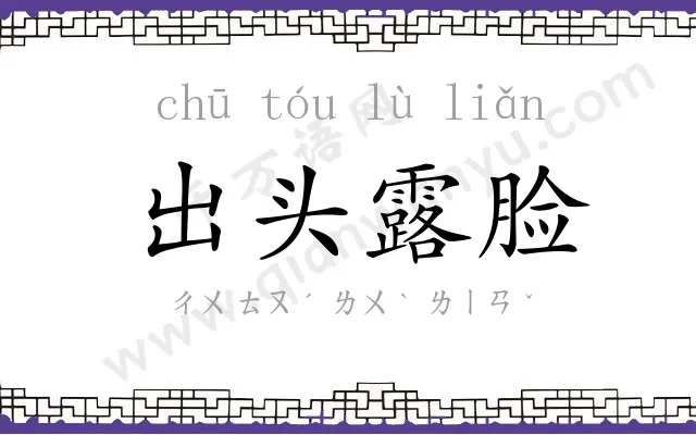 出头露脸