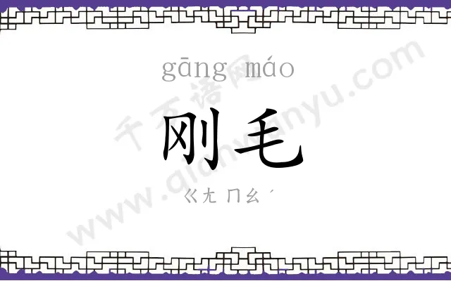 刚毛
