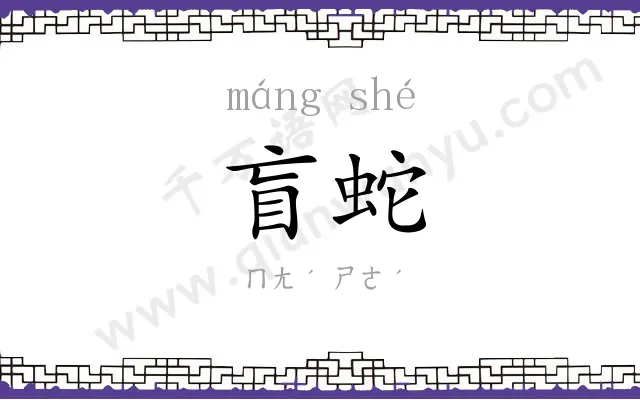盲蛇
