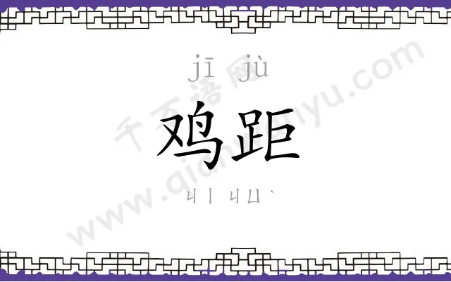 鸡距