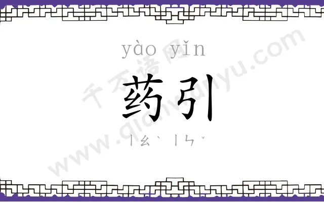 药引