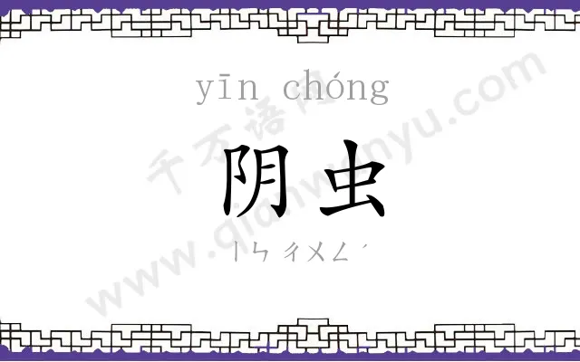 阴虫