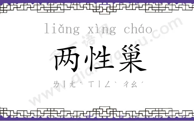两性巢