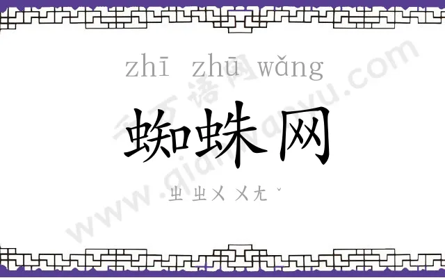 蜘蛛网