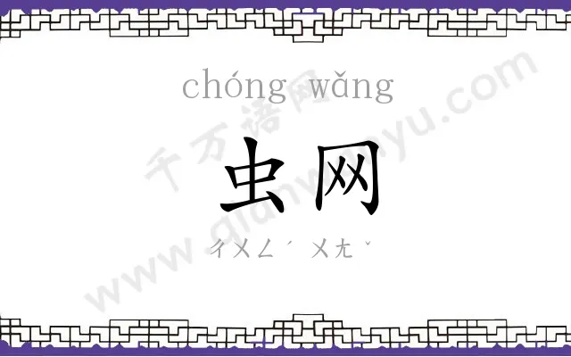 虫网