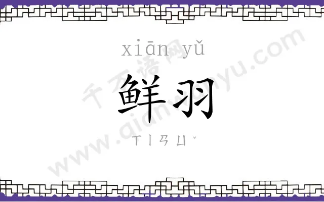 鲜羽