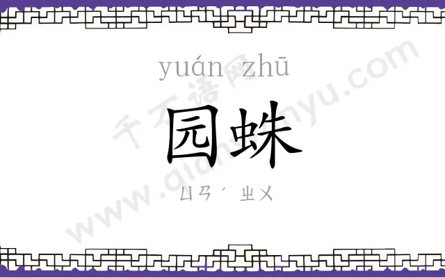 园蛛