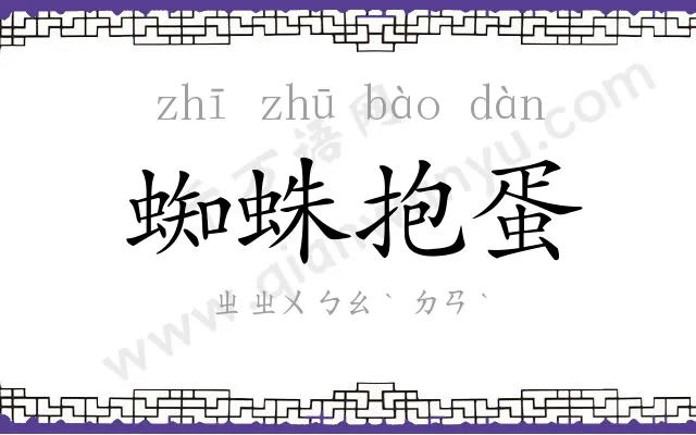 蜘蛛抱蛋