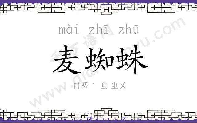 麦蜘蛛