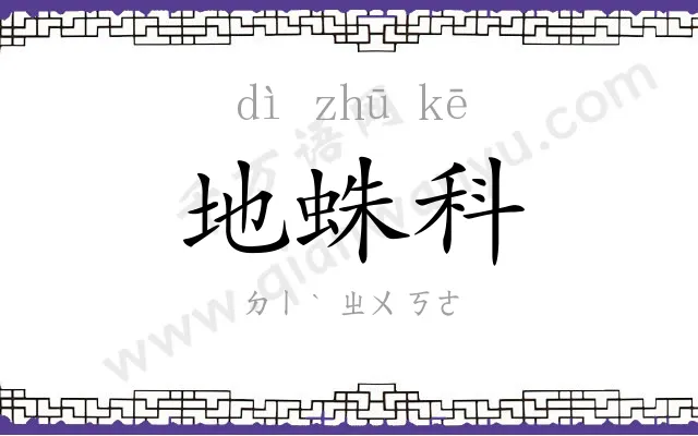 地蛛科