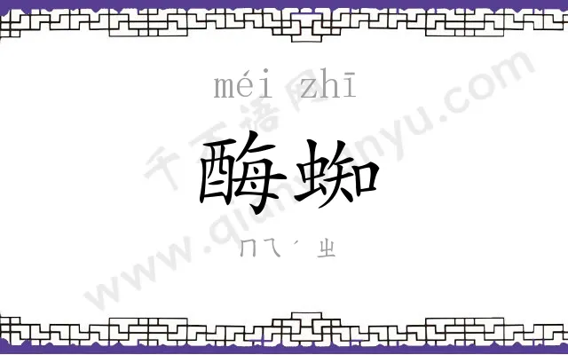 酶蜘