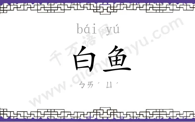 白鱼
