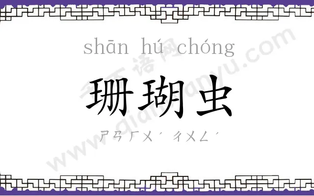 珊瑚虫