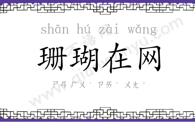 珊瑚在网