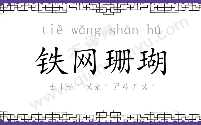 铁网珊瑚