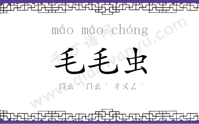 毛毛虫