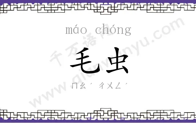 毛虫