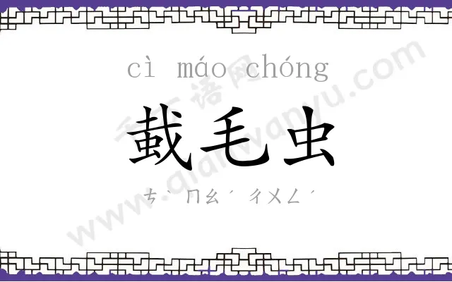 蛓毛虫