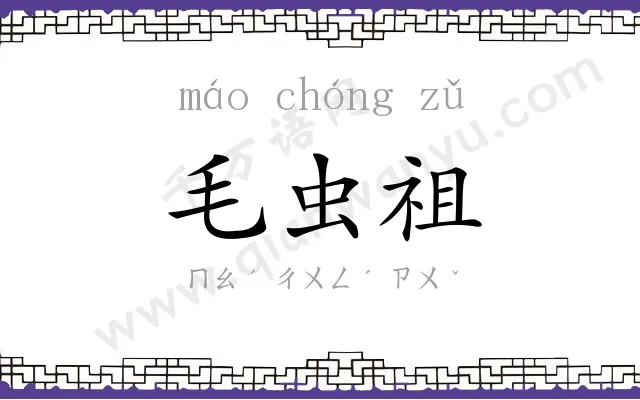 毛虫祖