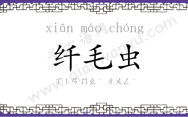 纤毛虫