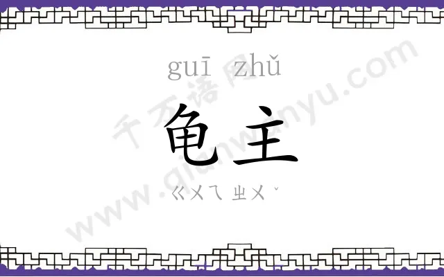 龟主