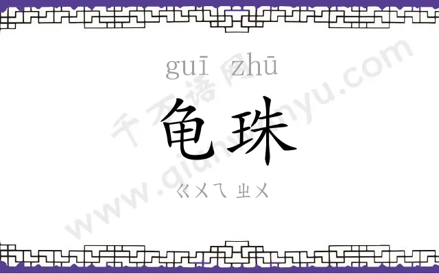 龟珠
