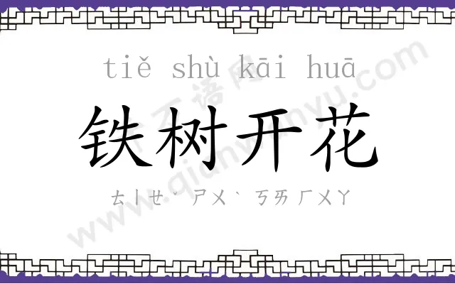 铁树开花