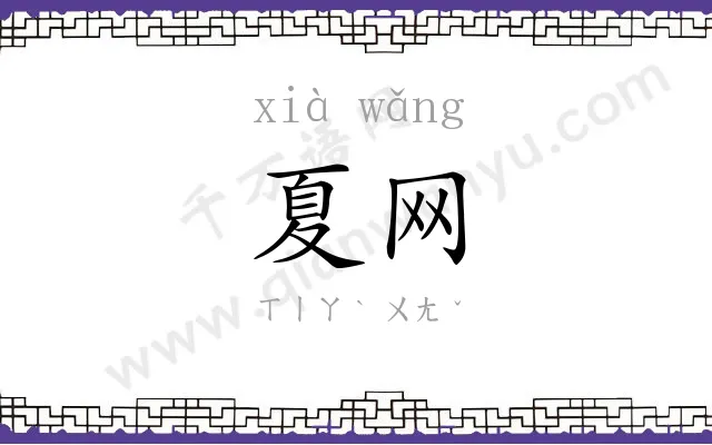 夏网