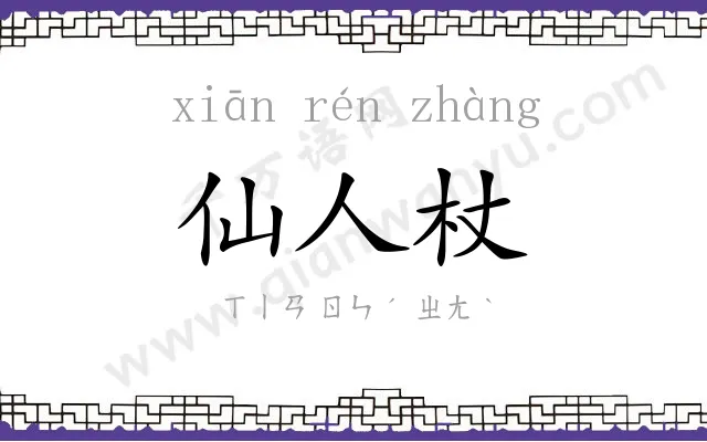 仙人杖