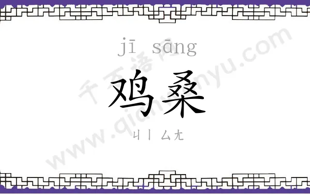 鸡桑