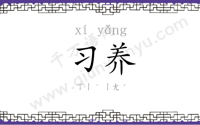 习养