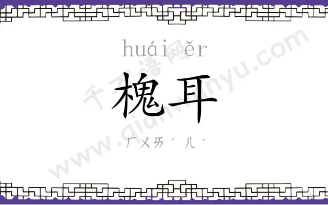 槐耳
