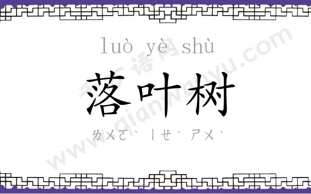 落叶树