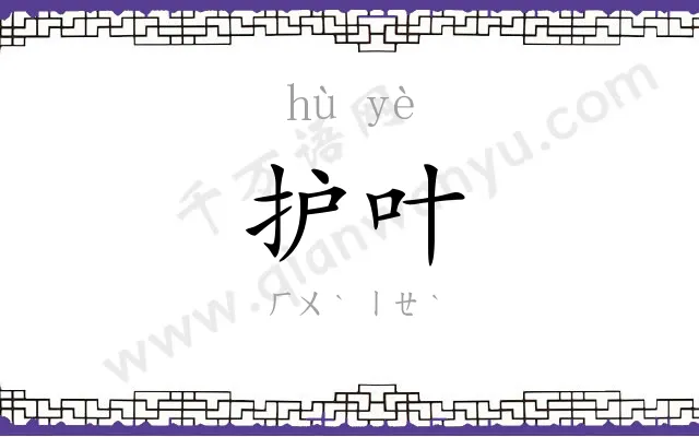 护叶