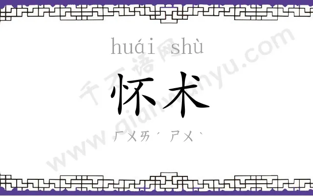 怀术