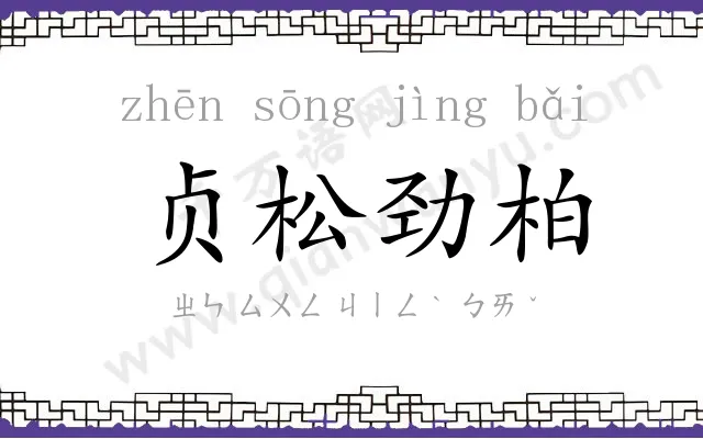 贞松劲柏