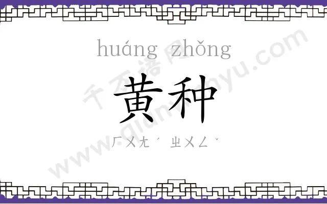 黄种