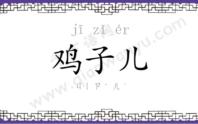 鸡子儿