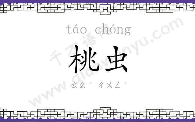 桃虫