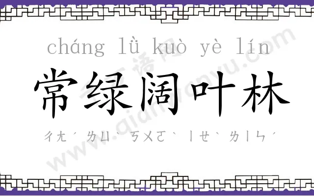 常绿阔叶林