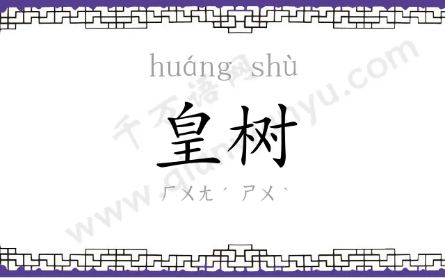 皇树