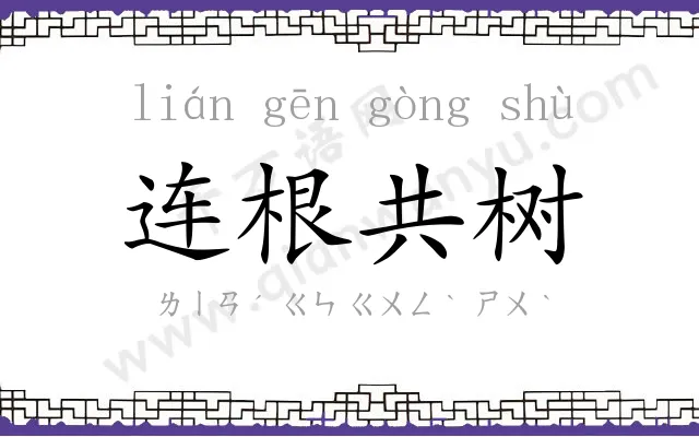 连根共树