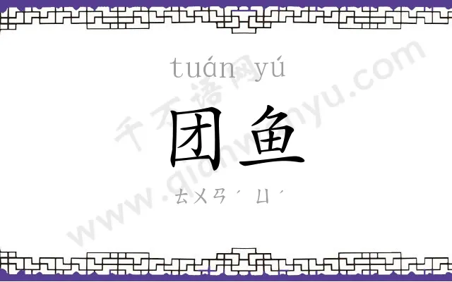 团鱼