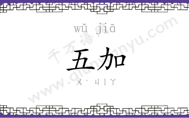 五加