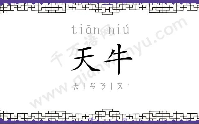 天牛