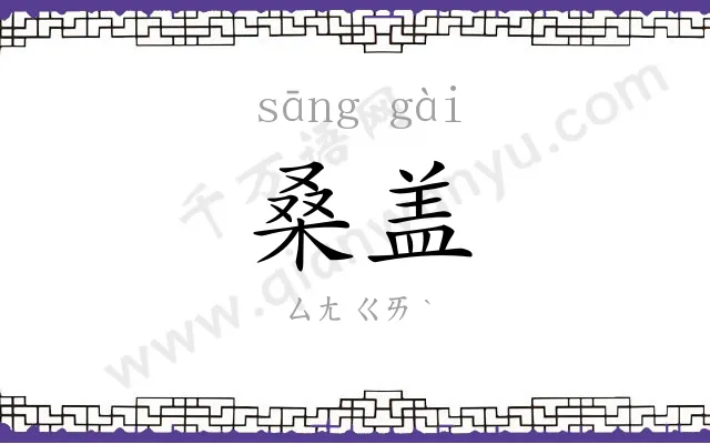 桑盖