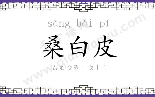 桑白皮